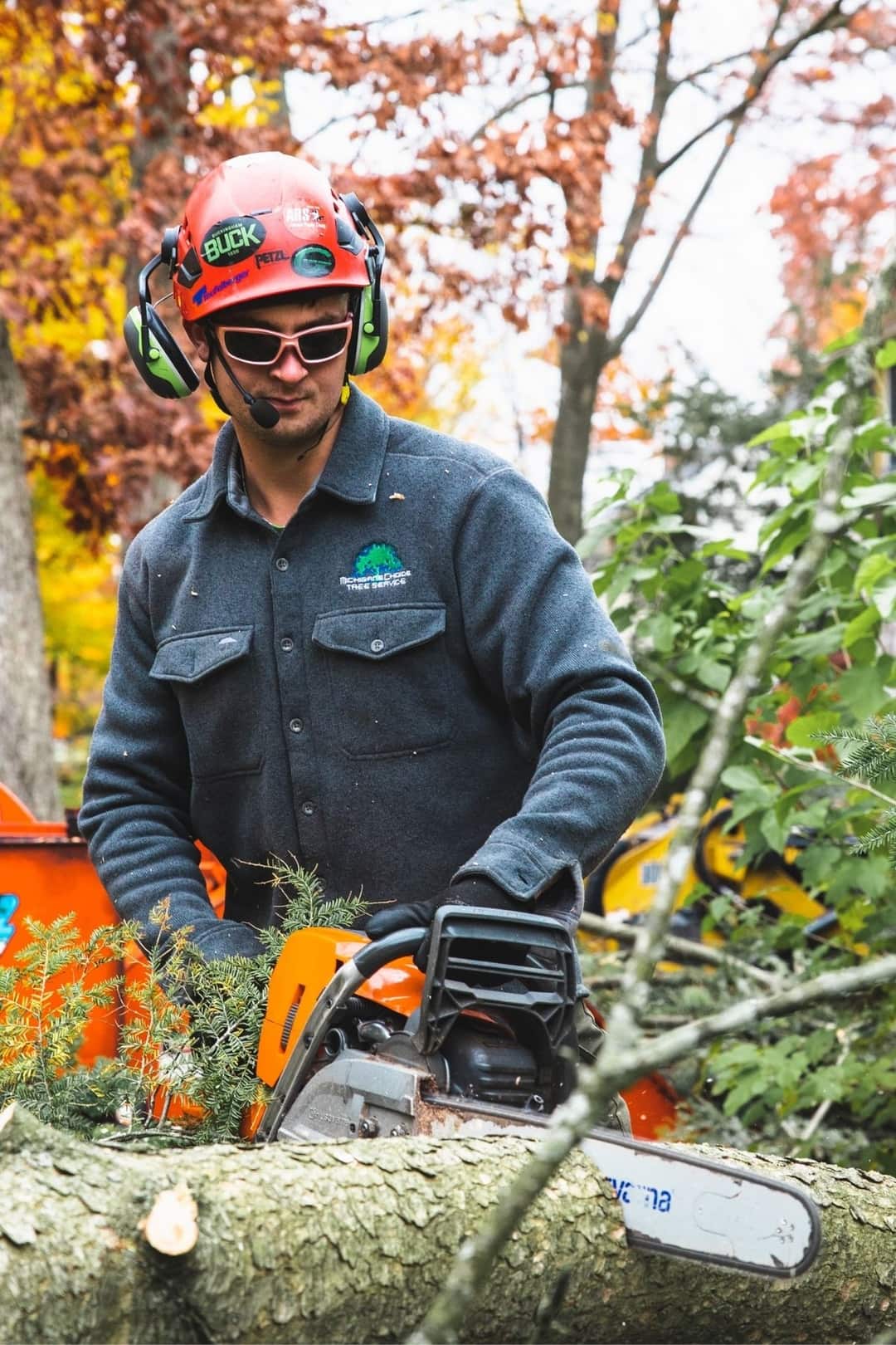Michigan's Choice Tree Service Grand Rapids, Michigan